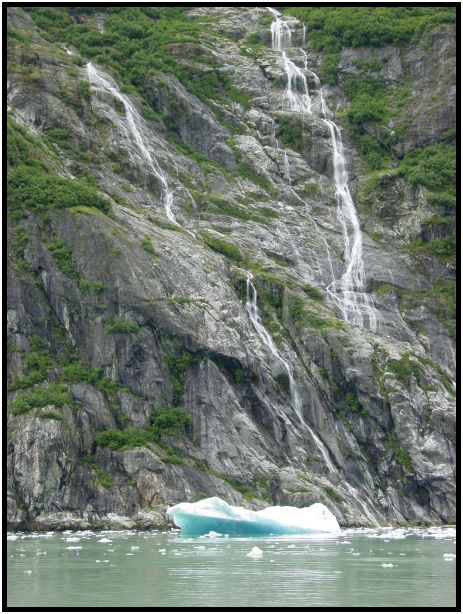 place: USA: Alaska: Tracy Arm Glaciers : s-dsc026472.jpg