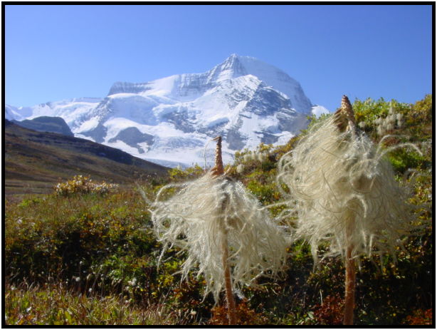 site: earth: glacier : s-dsc028168.jpg
