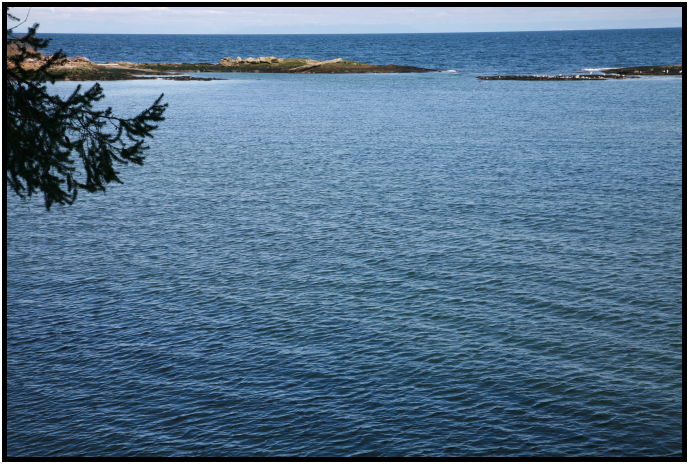 site: water: ocean : s-IMG_1583.jpg