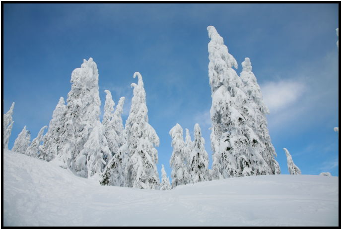 place: Canada: British Columbia: Vancouver: Hollyburn Mountain : s-IMG_1078.jpg