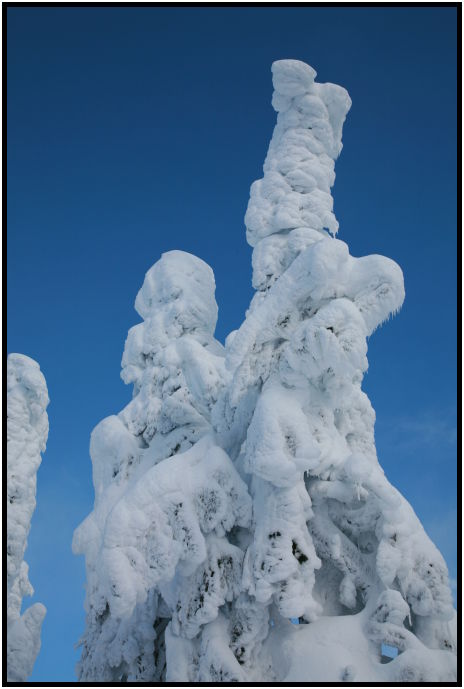 site: earth: snow : s-IMG_1099.jpg