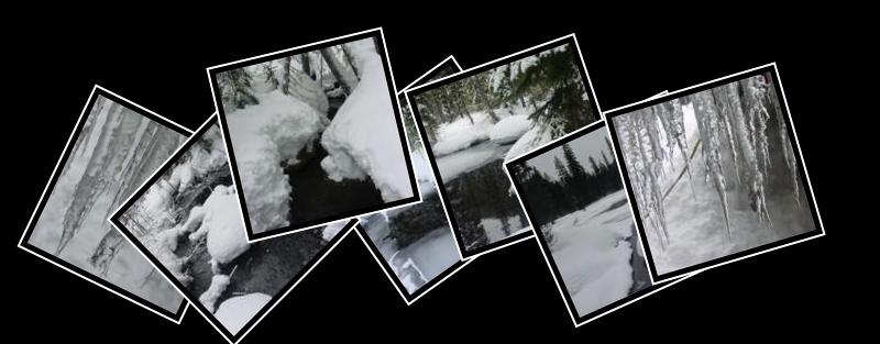 Manning Park X-country Skiing