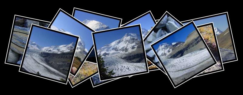 Snowbird Trail