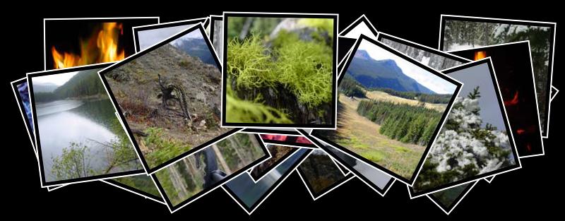 Manning Park