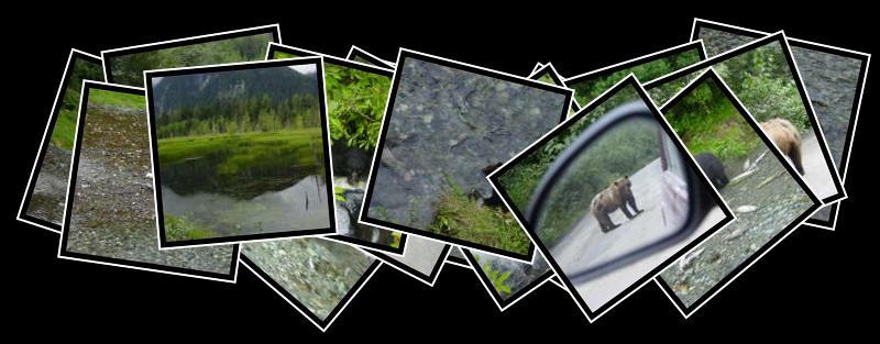 Fish Creek