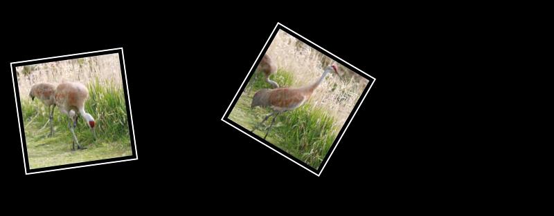 crane